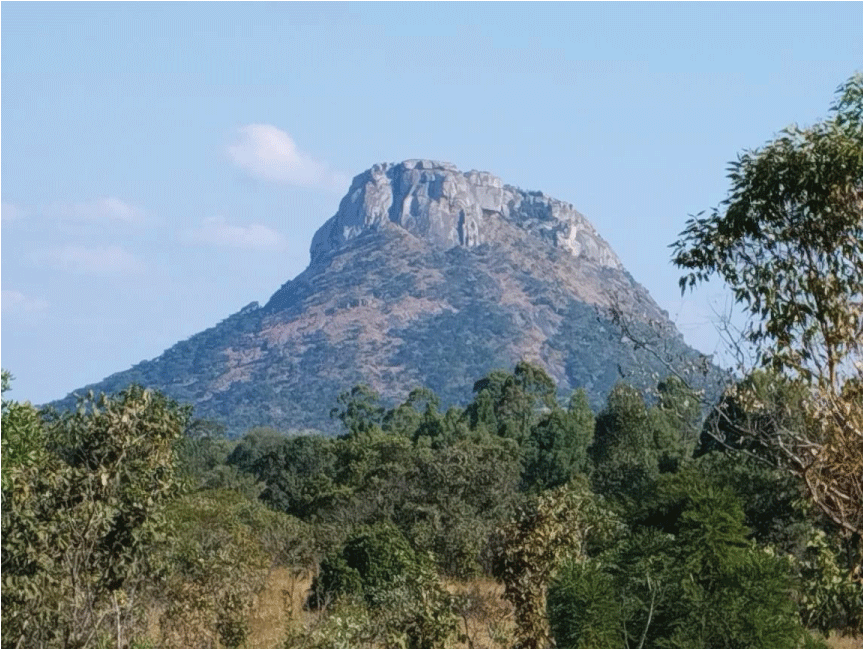 The famous Mutikwiri, ‘Makono, Ndarikure’ mountain (Source: Author).