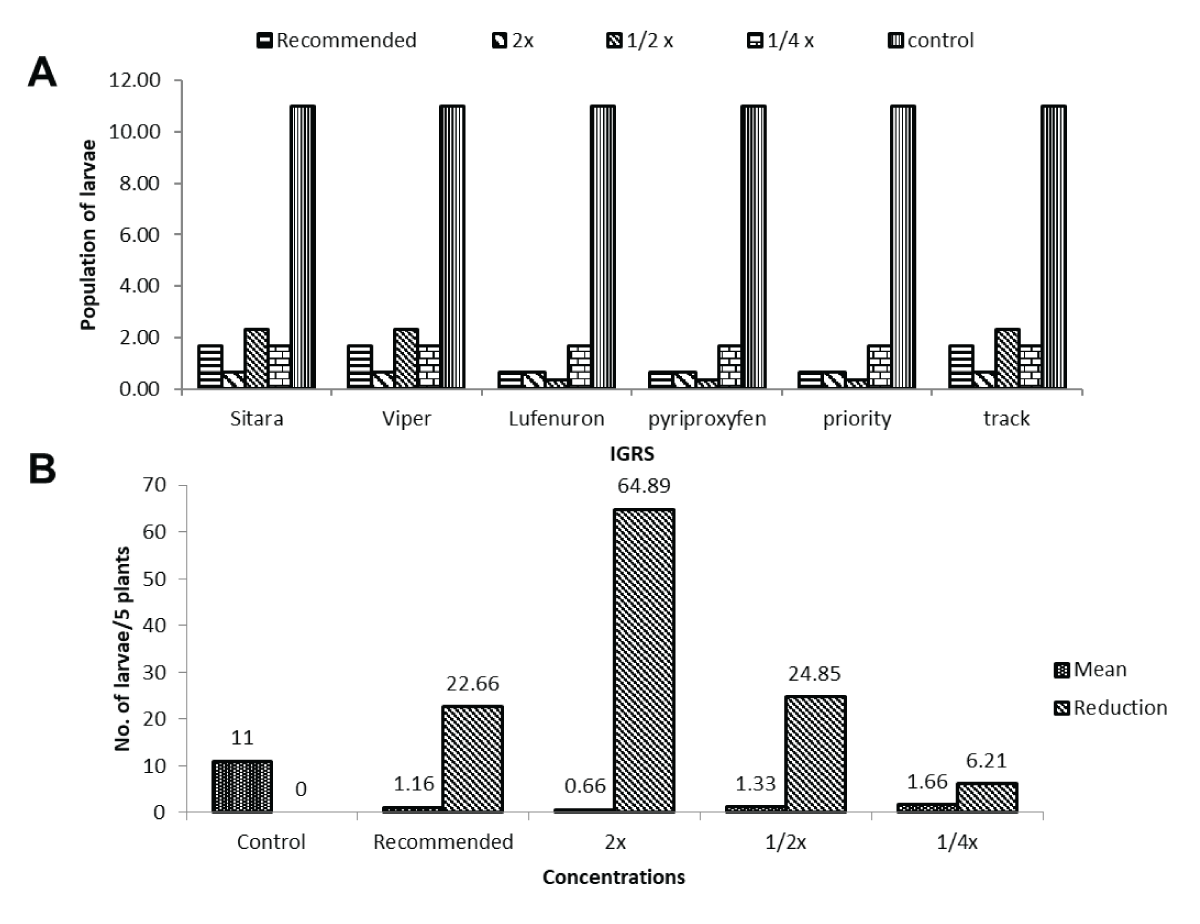 Impact of different concentrations of insect growth regulators (IGRs) on maize borer larval density within 24 hours post second application. (A) Shows varied larval densities with concentrations of Sitara®, Viper®, Lufenuron®, Pyriproxyfen®, Priority®, and Track®, with 2x Field Recommended Dose (FRD) displaying the most substantial reduction (64.89%) within 24 hours after the second application. (B) Emphasizes that despite the significant impact of treatments, the interaction between insect growth regulators (IGRs) and concentrations did not significantly influence larval density, highlighting the efficacy of 2x FRD in achieving the highest reduction (64.89%) in larvae per 5 plants post-treatment.Larval population per five plants of maize borer before and after the second application of different IGRs and its reduction percentage.