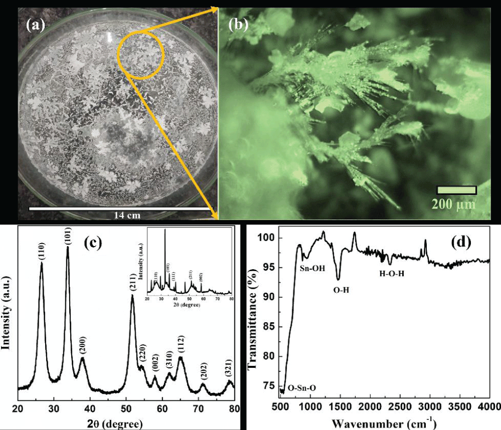 Tin oxide fractals grown on (a) large scale glass substrate, (b) digital optical image showing the dendritic growth, (c) x-ray diffractogram of annealed sample. Inset shows the x-ray diffractogram of as-synthesized fractal sample and (d) FTIR spectrum of tin oxide fractals.