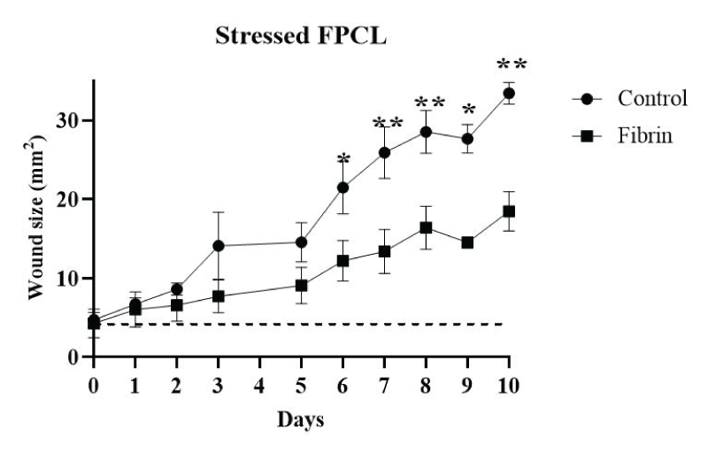 The wound size was measured for stressed FPLCs during culture time. The stressed FPCLs treated with fibrin and control were measured for 10 days and data was plotted. Two-way ANOVA and Sidak’s multiple comparison tests were performed on the data (n = 4). *p = 0.0002, **p ≤ 0.0001. The dashed line indicates the wound size in the technical controls (lattices without cells and without fibrin).