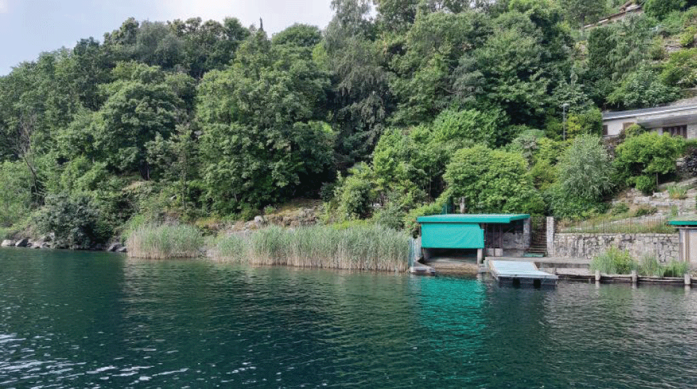 Punta Grunf, Lake Orta. Near this location, a specimen was observed at a depth of 17 m. Photo by Paola Viviana Trovò.