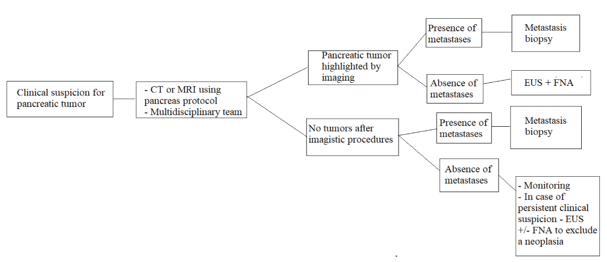 Algorithm for the diagnosis of pancreatic tumors; CT: Computed Tomography; MRI: Magnetic Resonance Imaging; EUS: Endoscopic Ultrasonography; FNA: Fine Needle Aspiration; reproduced after [<span class=